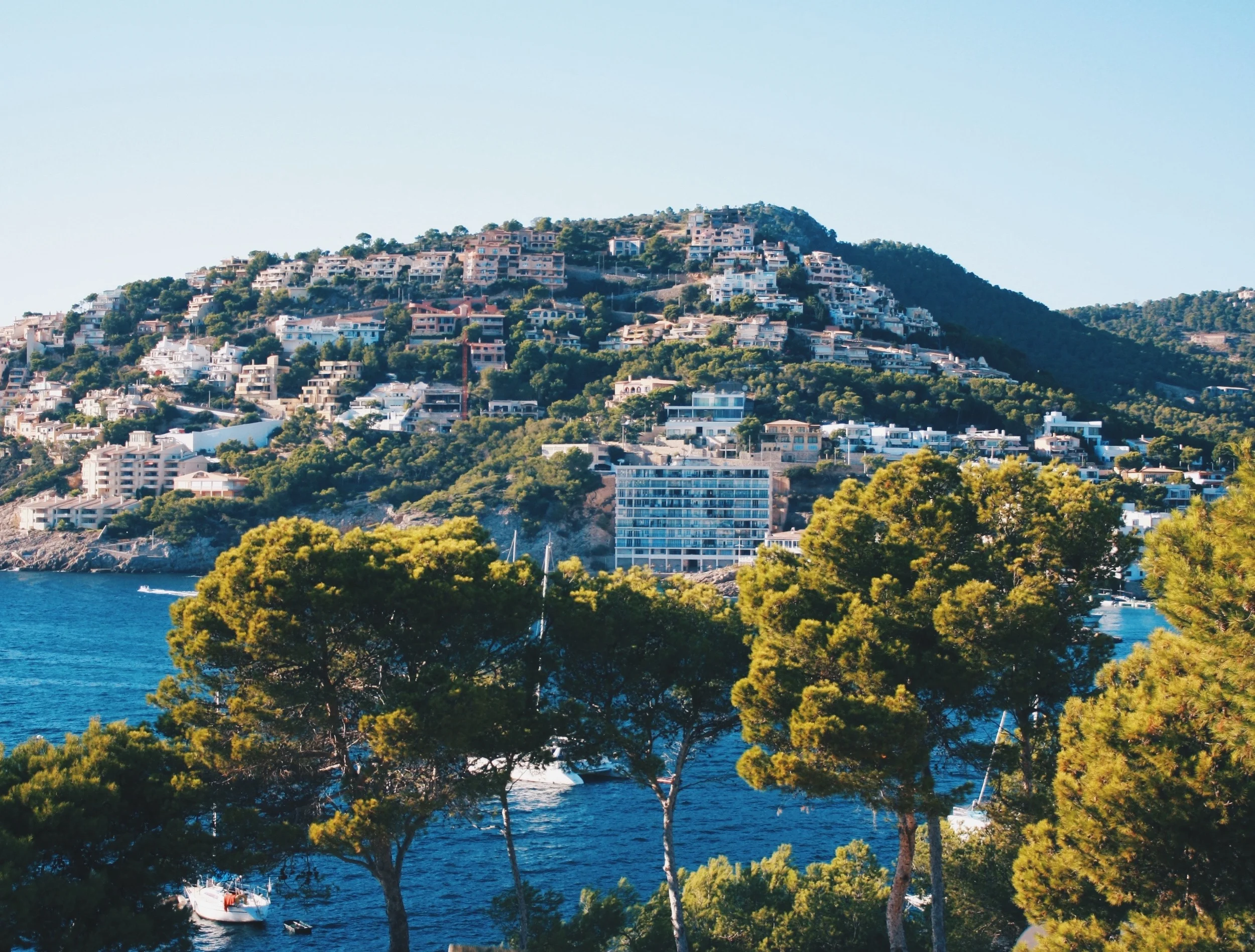 Is Palma de Mallorca Really The Best Place In The World?