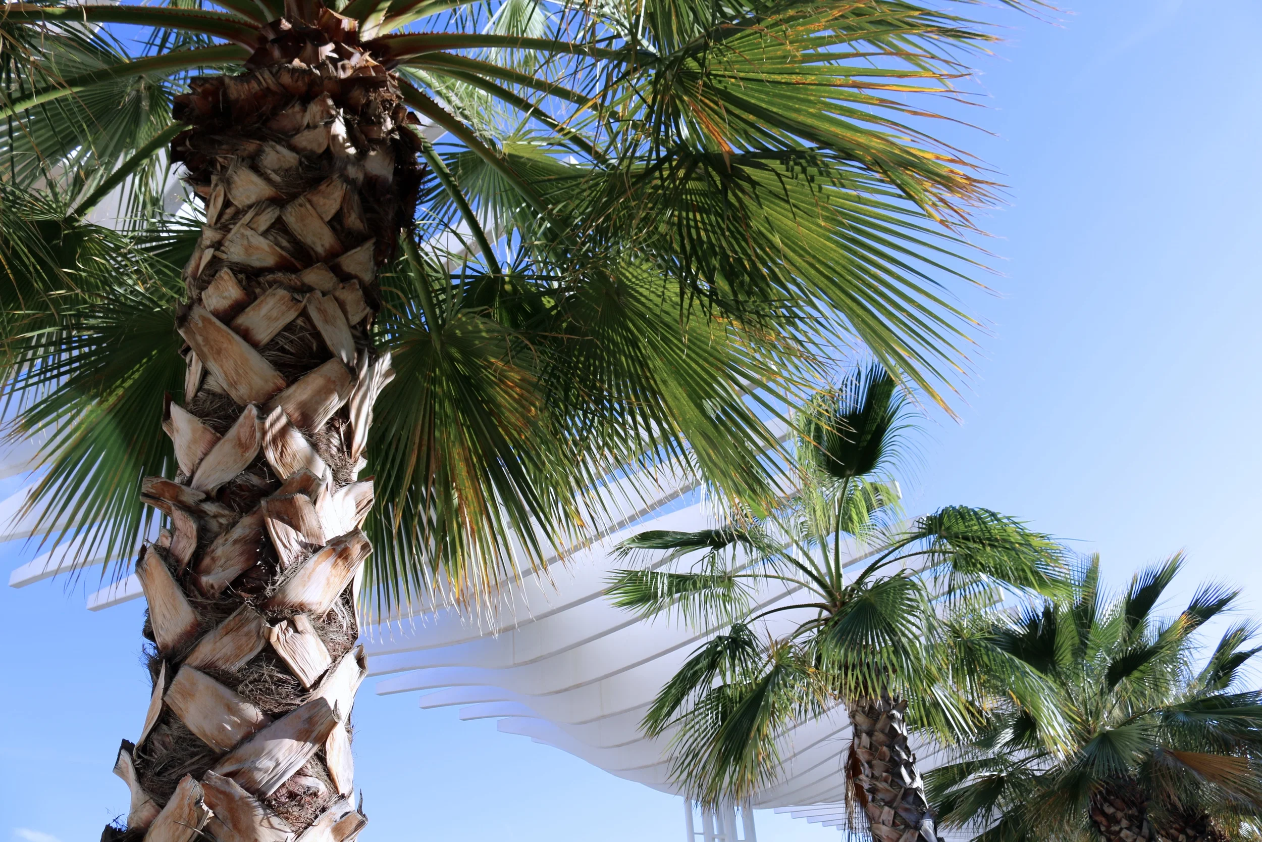 Andalucia Highlights: Málaga