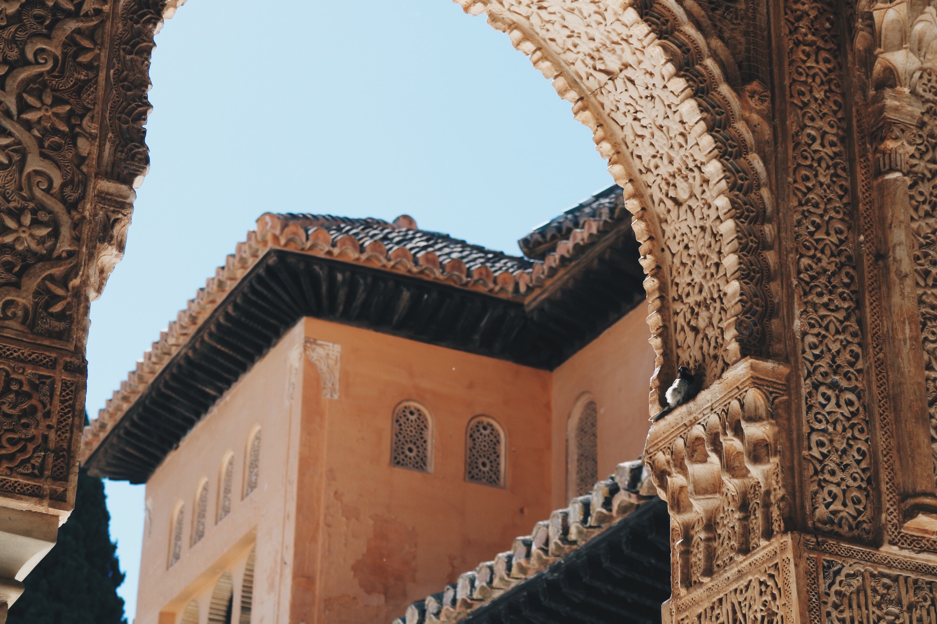INTRICATE PALACE ARCH GALORE AT ALHAMBRA
