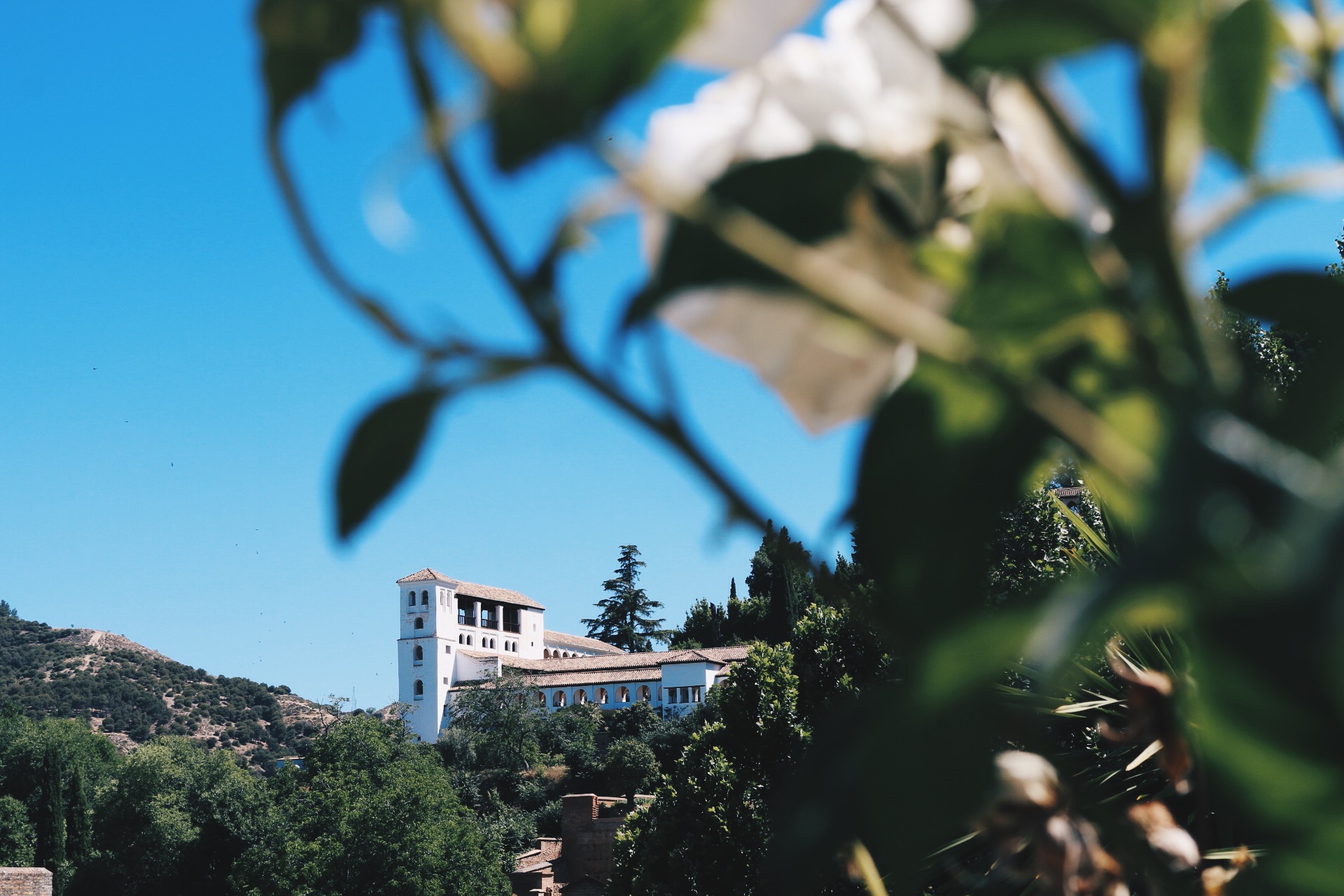 OH, JUST A MODEST SUMMER PALACE
