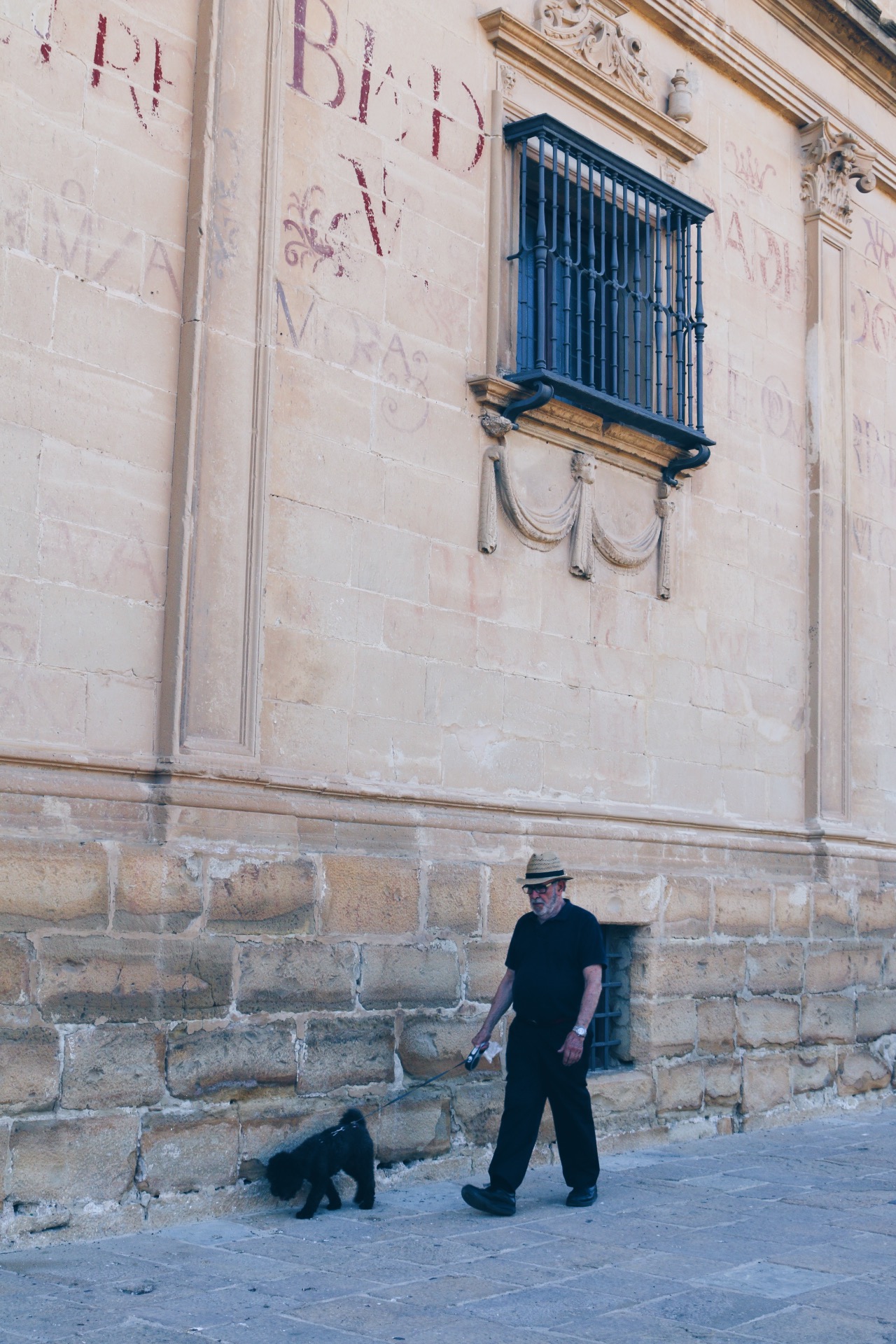 TOWN HALL WALKS 