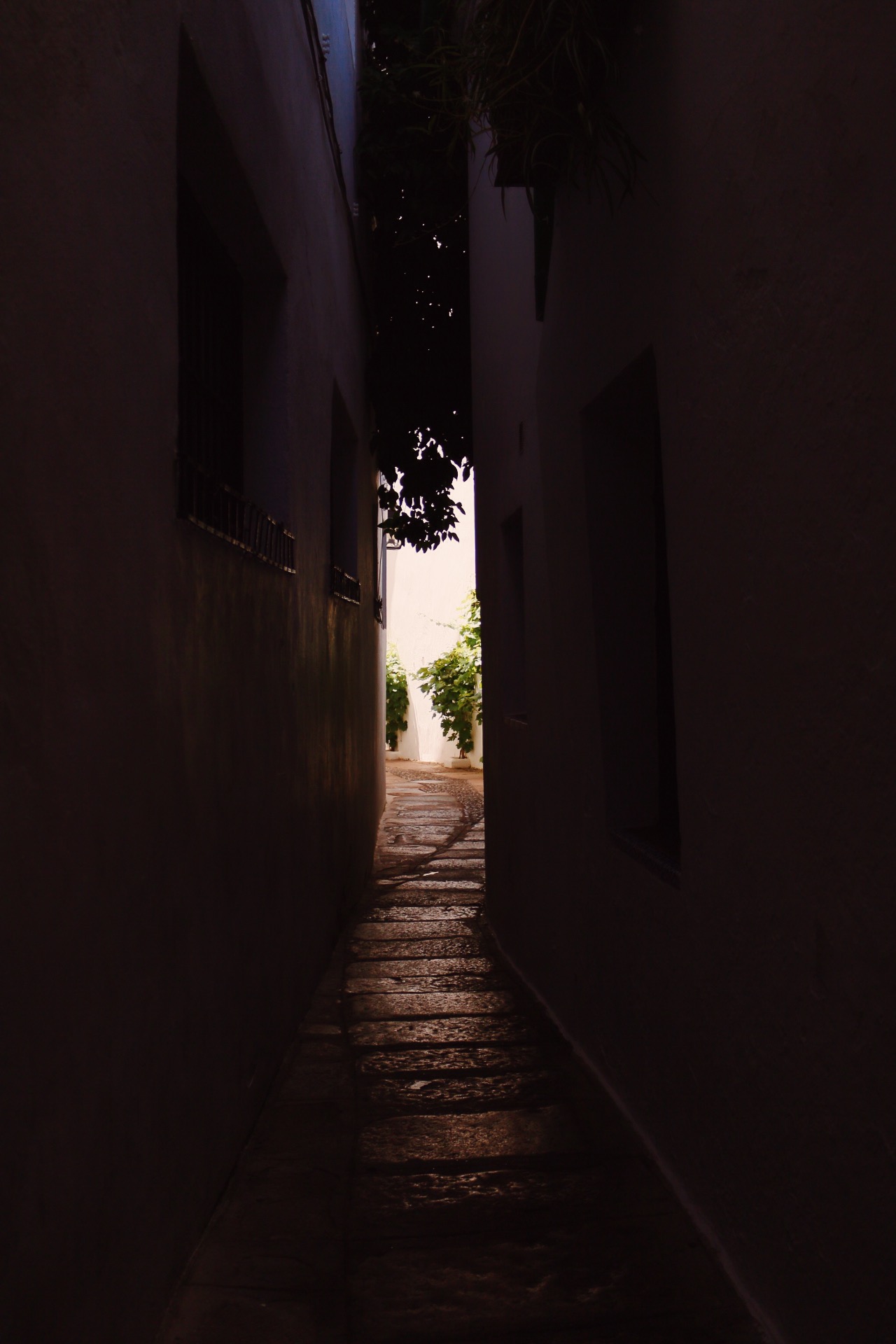 SKINNY ALLY. CALLE DE PEDRO JIMENEZ...