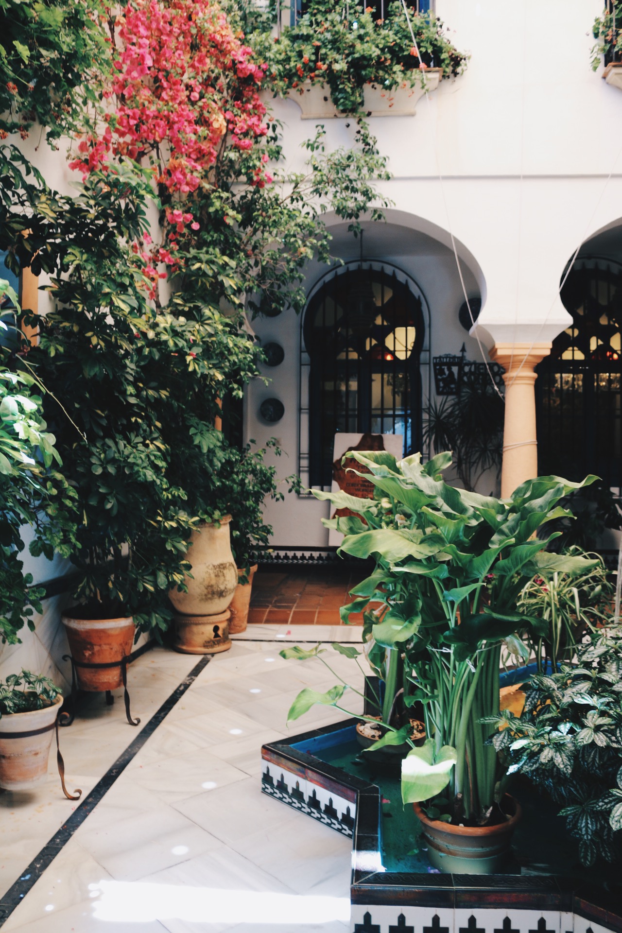 COURTYARD POP-BY