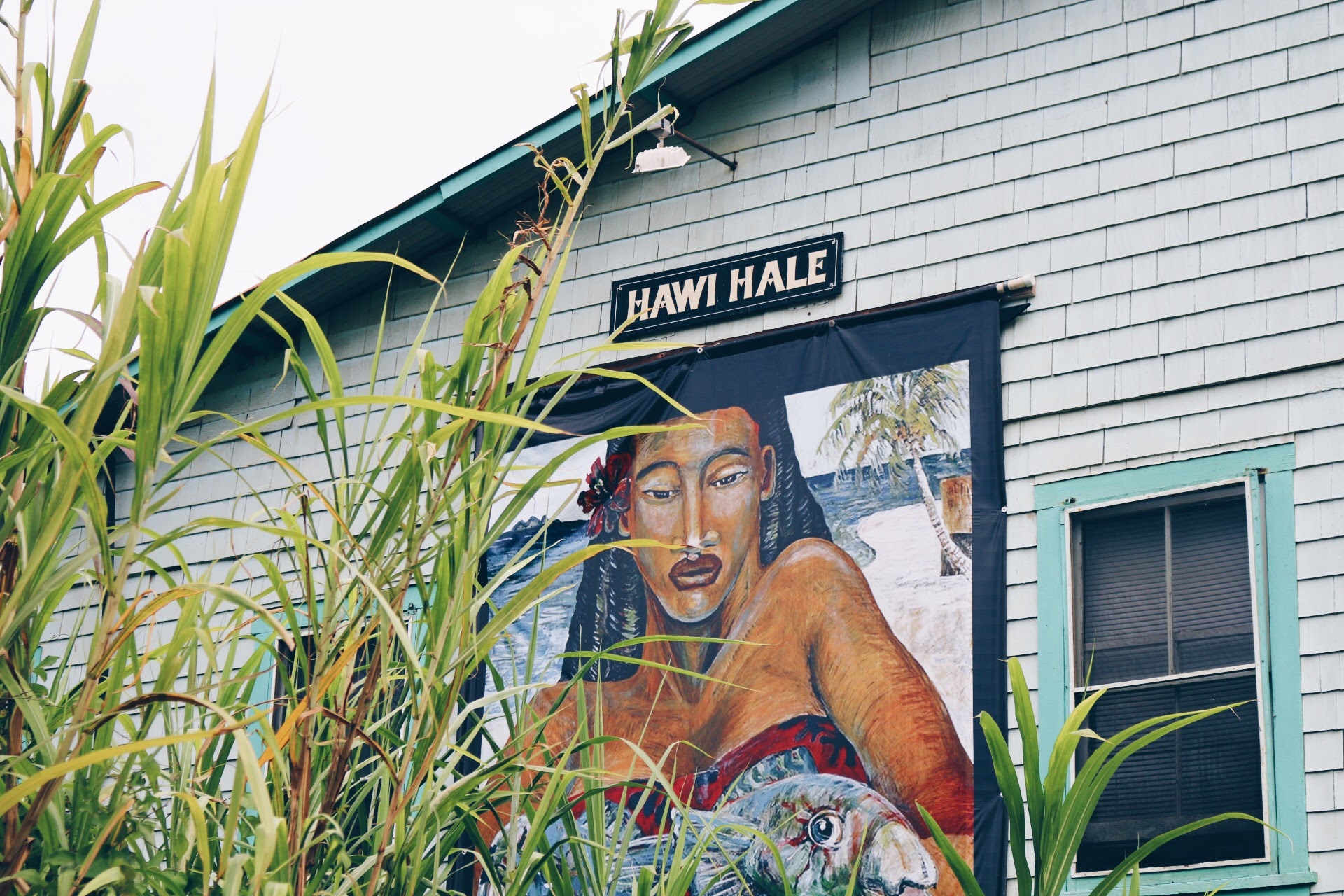 HAWI STREET ART
