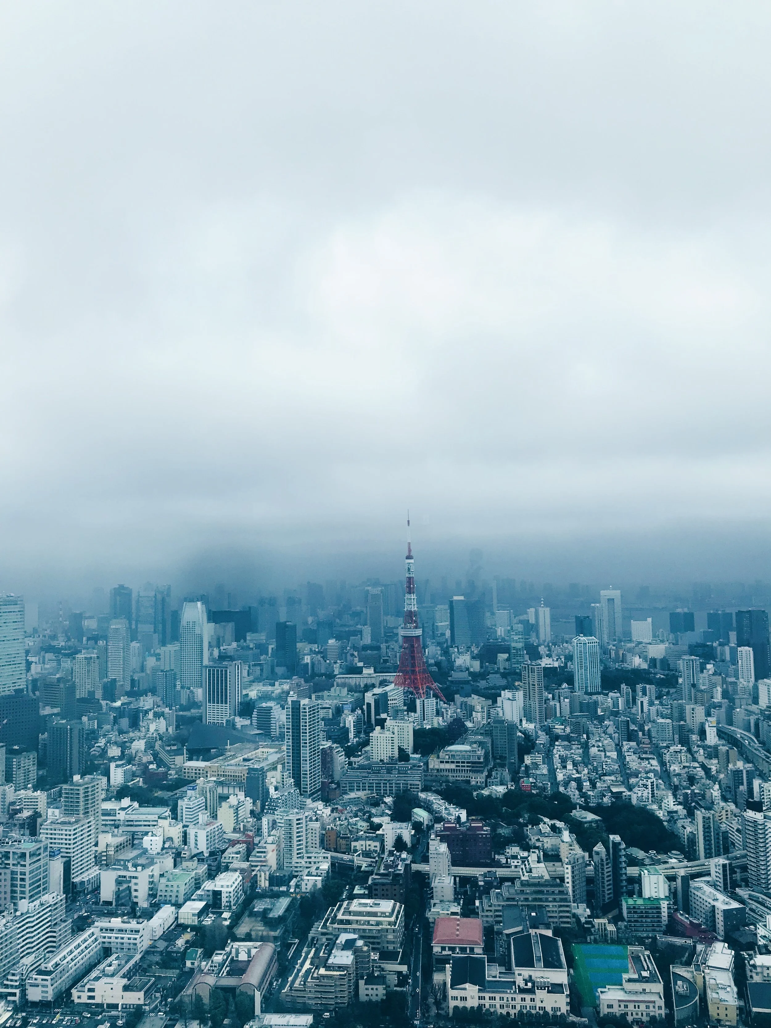 Moody Tokyo City View
