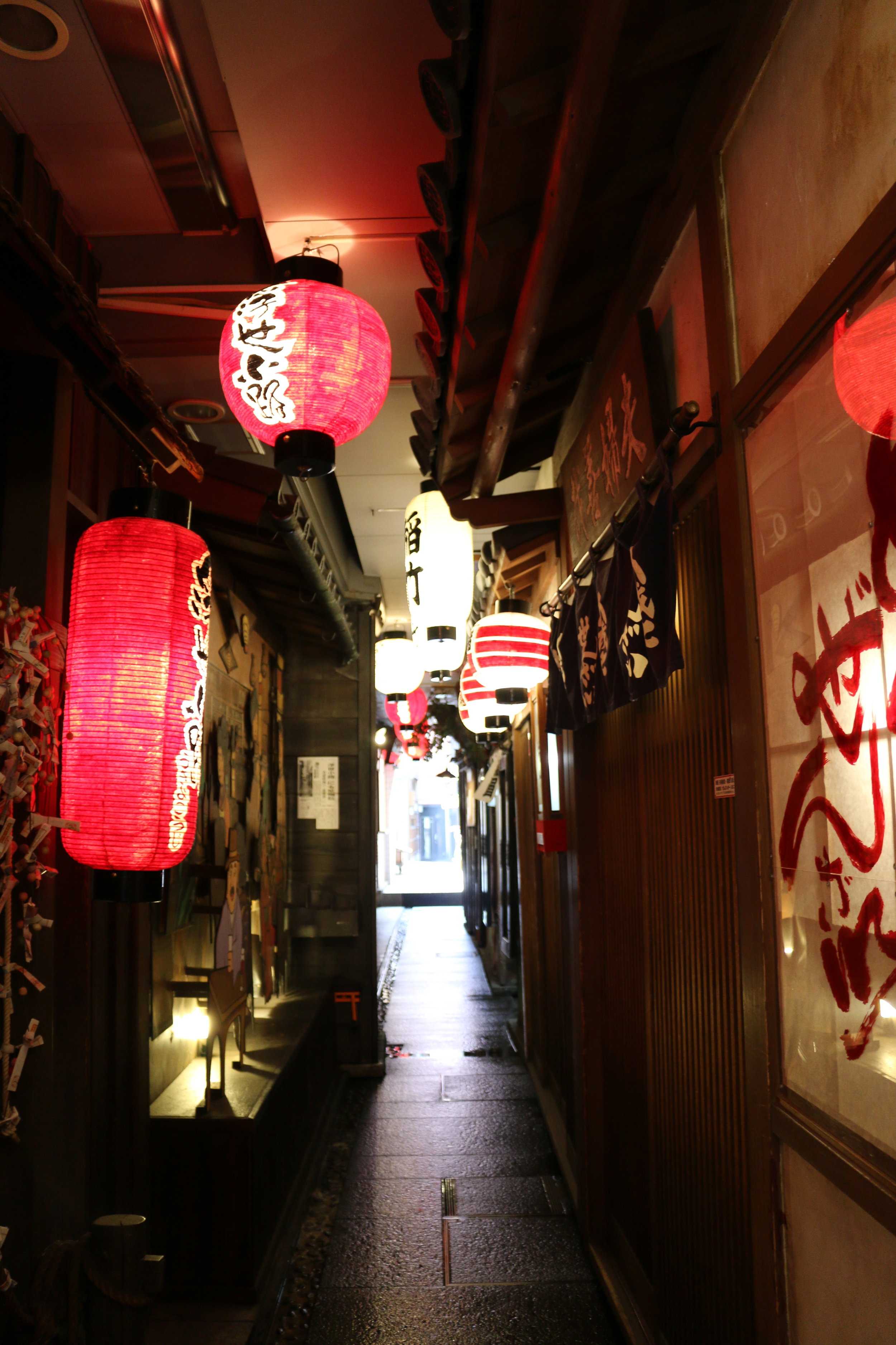 Passing through to get to Hozenji Yokocho