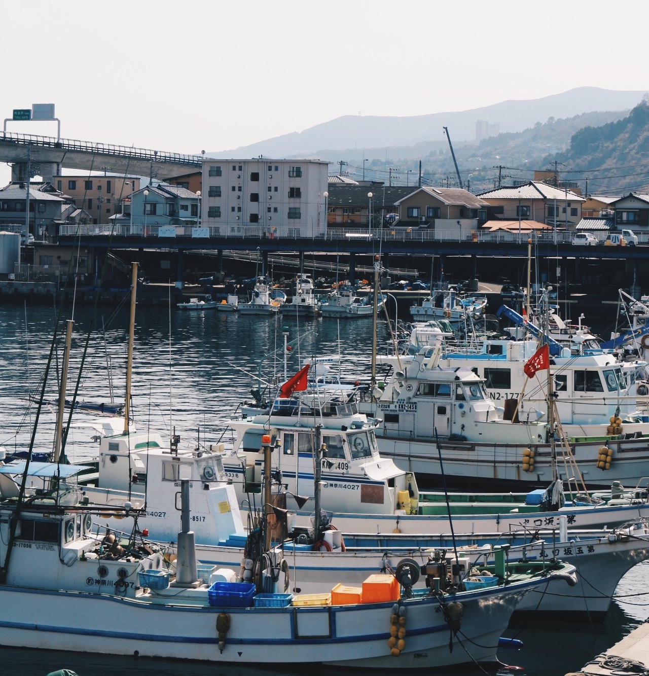 Odawara Fishing Port