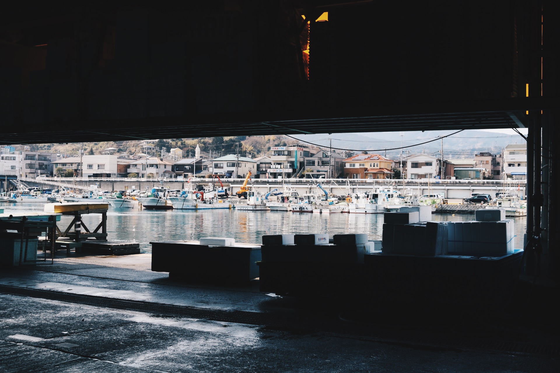 From inside the Odawara Fish Market