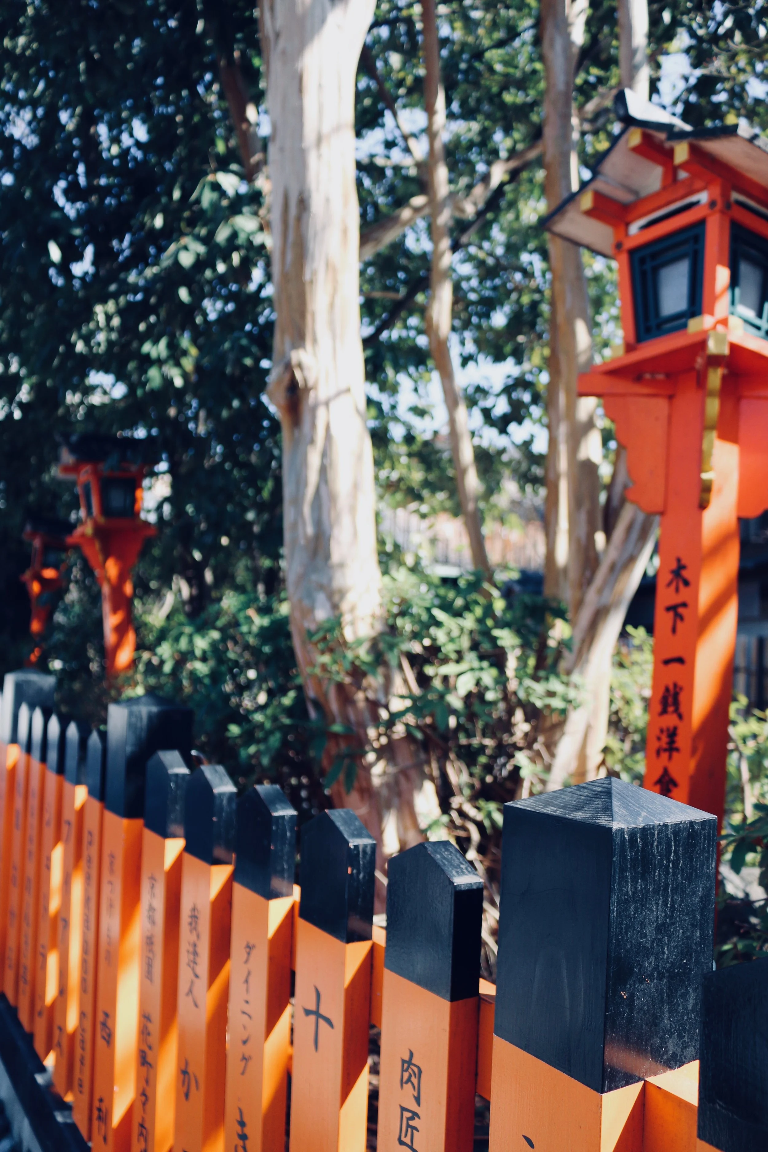 Also on the walk to Yasaka