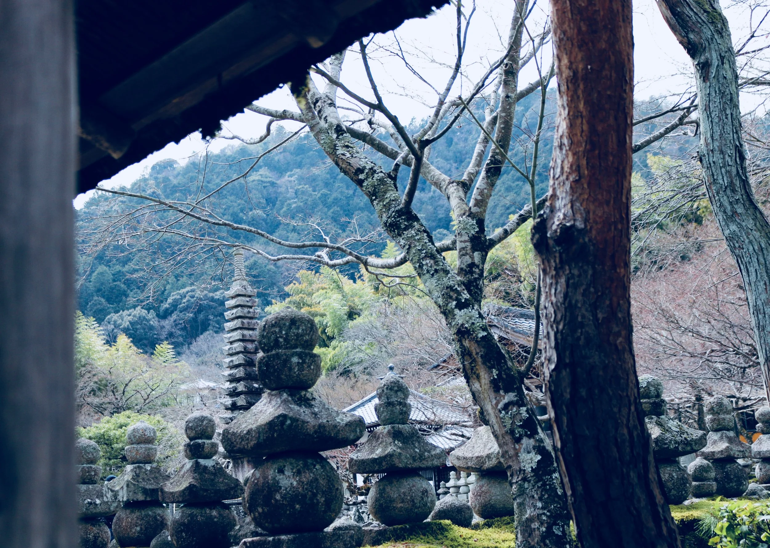 Adashino Nenbutsuji -- there's a bamboo forest at the back that's way less frequented and much more calming than the one at Arashiyama
