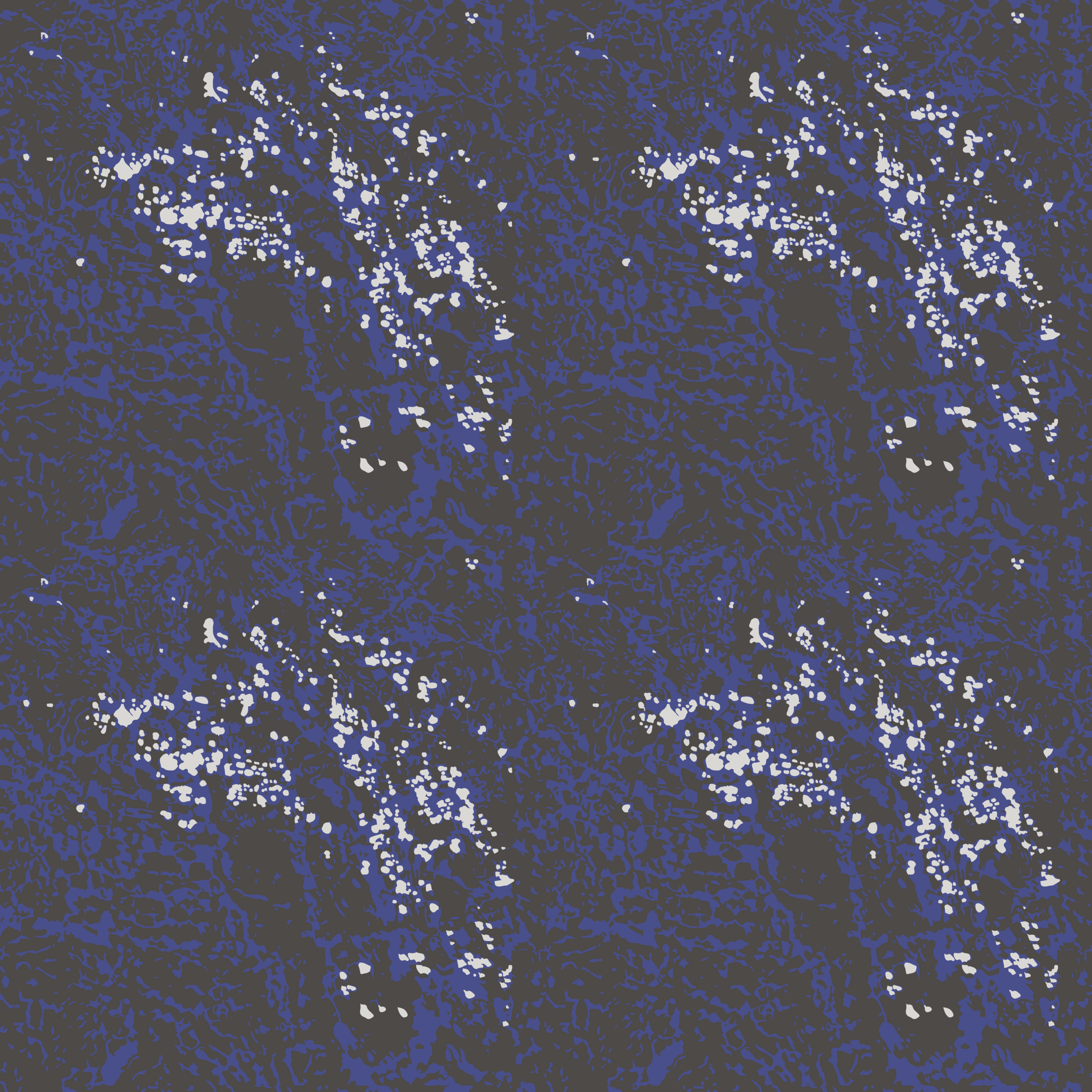 Sparkling Water - Champlain.png