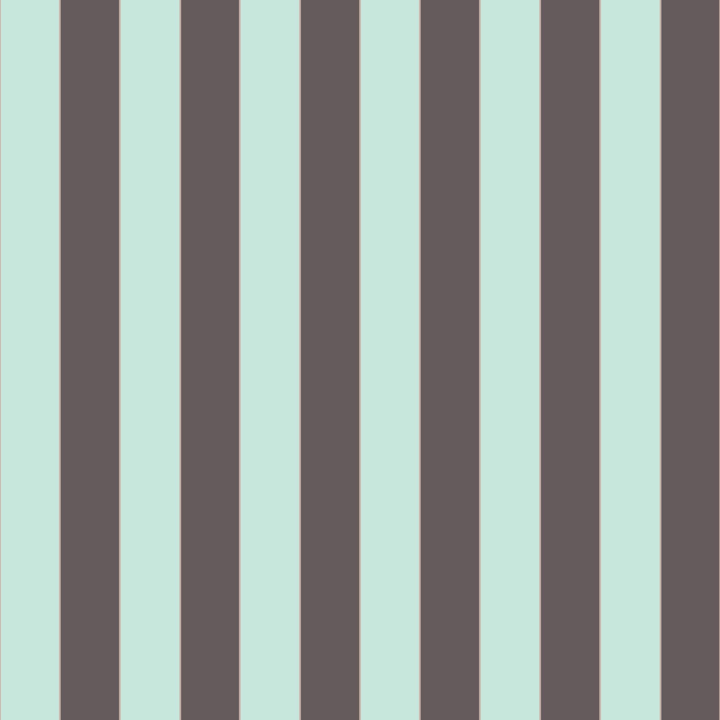 Tented Stripe - Chip .png