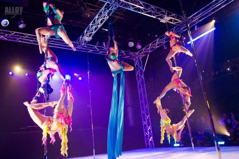 Pole Show LA β15 Reef Routine via Alloy Images