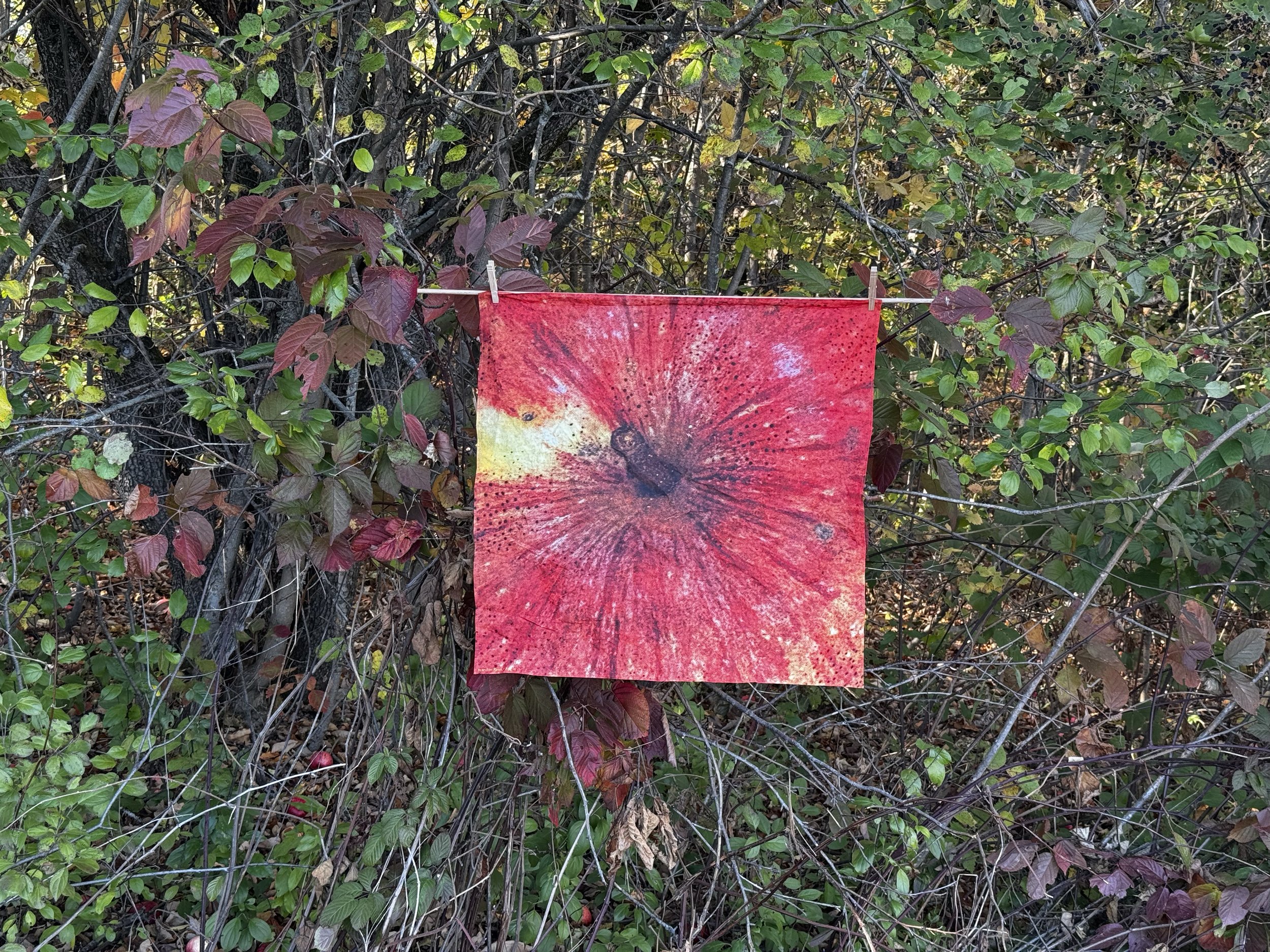 Apple Textile.jpg
