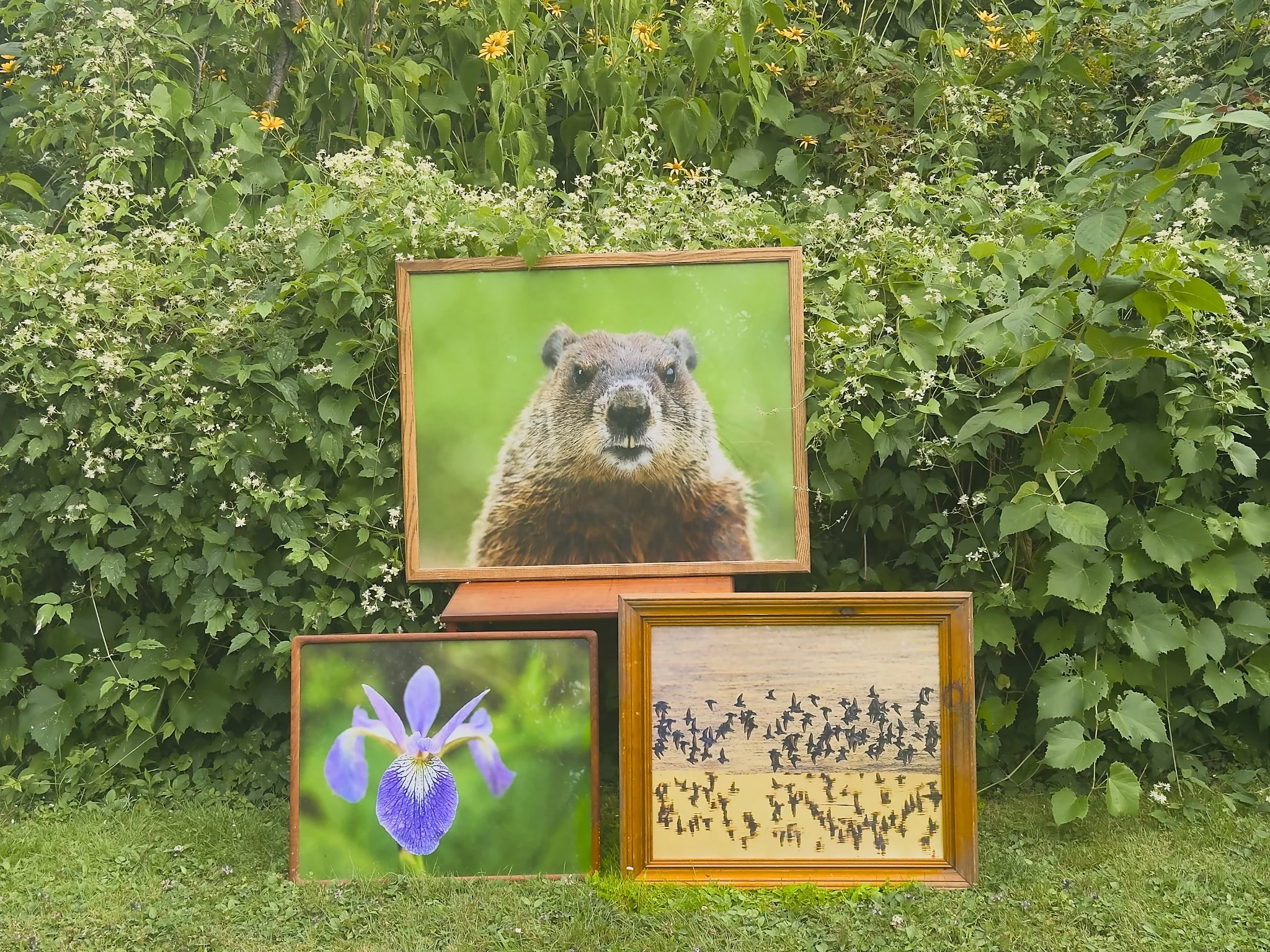 Prints 1.jpg
