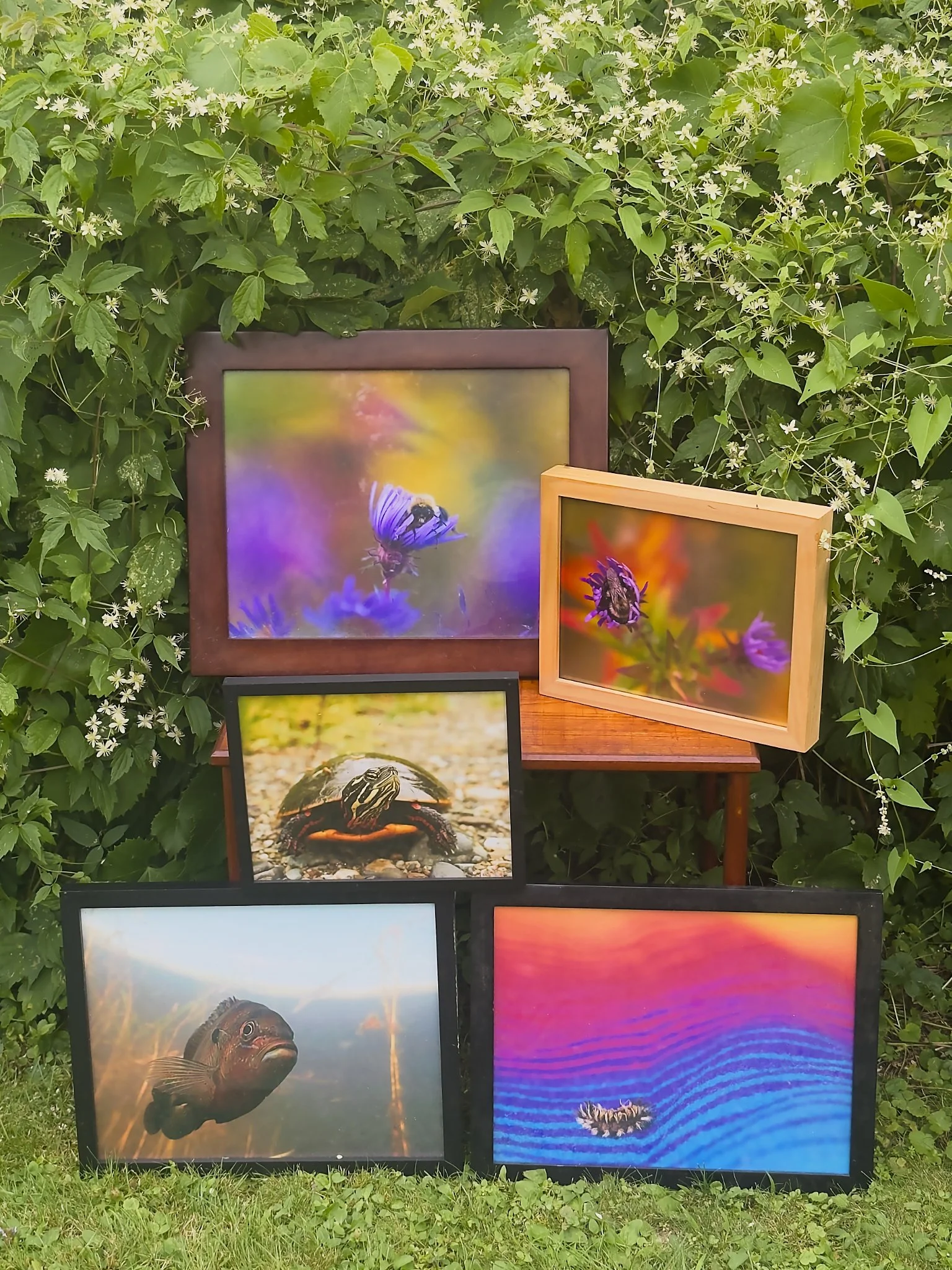Prints 3.jpg
