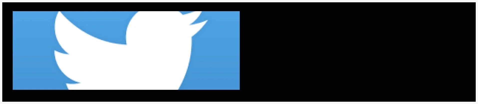 Twitter logo smaller copy (1).jpg