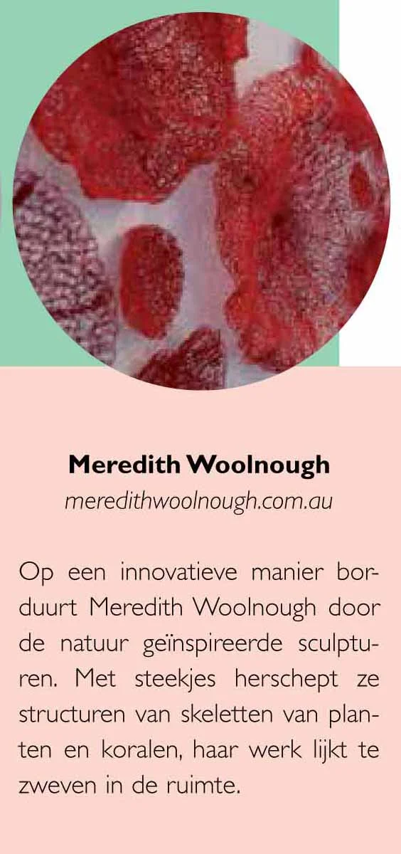 Dutch magazine feature crop.jpg