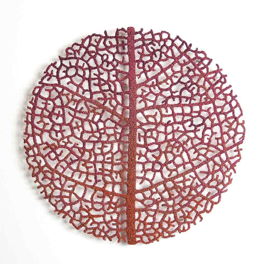 Leaf-structure-web.jpg
