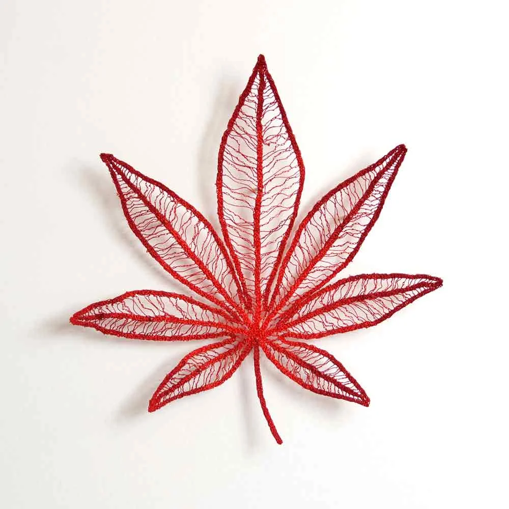 Japanese-maple-leaf1-web.jpg