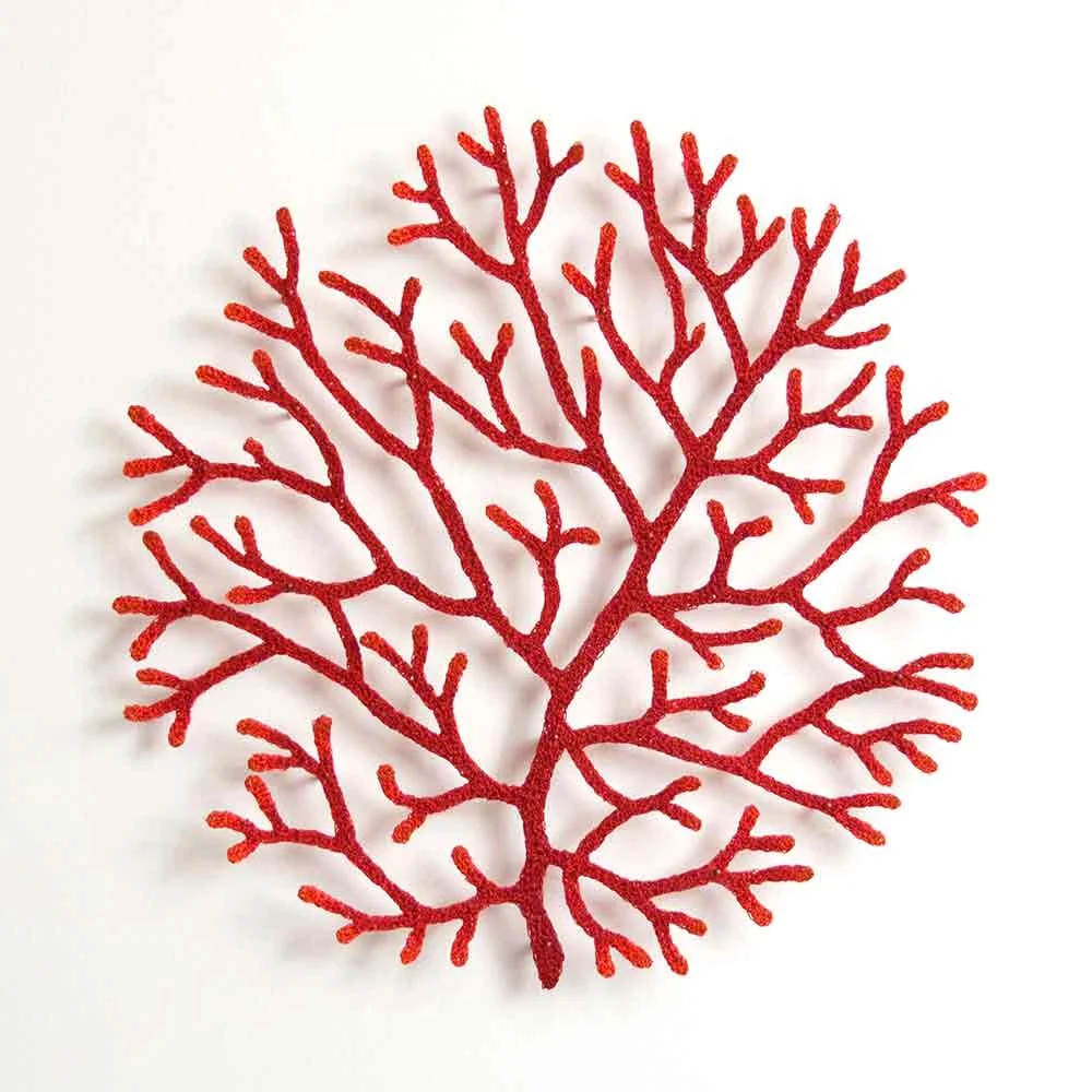Red-coral-branch2-web.jpg