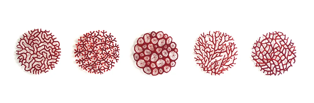 Specimen collection 3 coral masked web.jpg