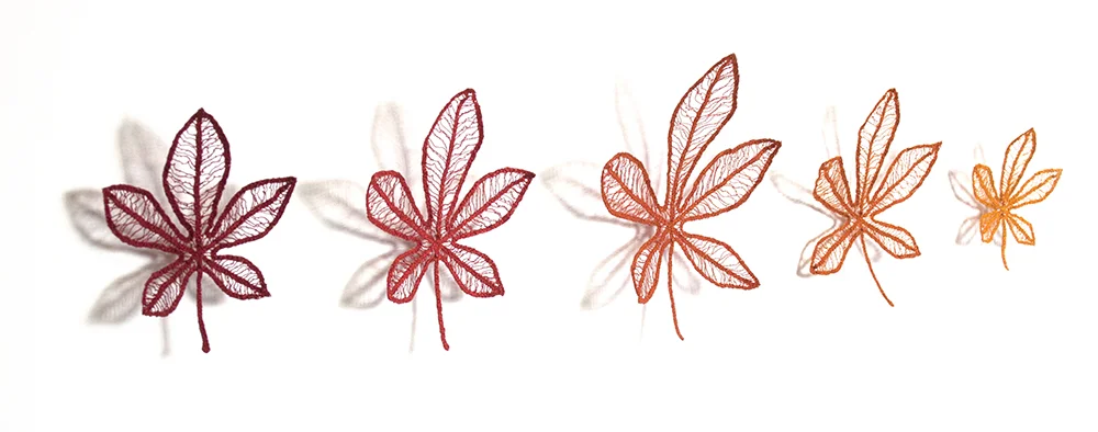 Specimen  collection2 angle edit web.jpg