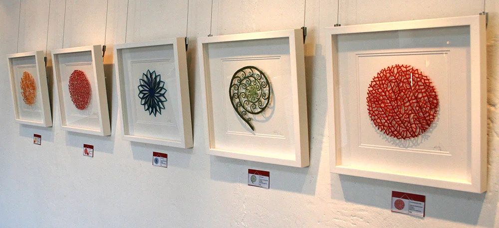 Nature studies - Framed