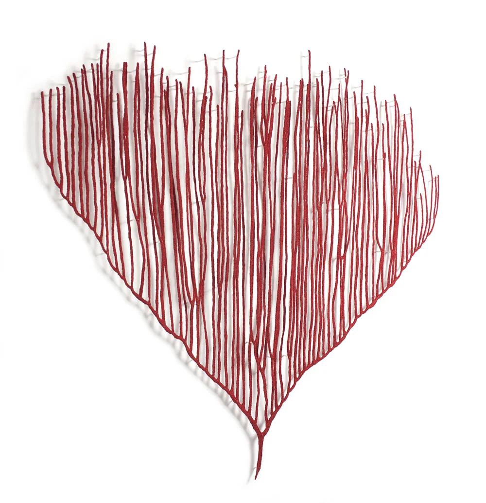 Harp coral angle web.jpg