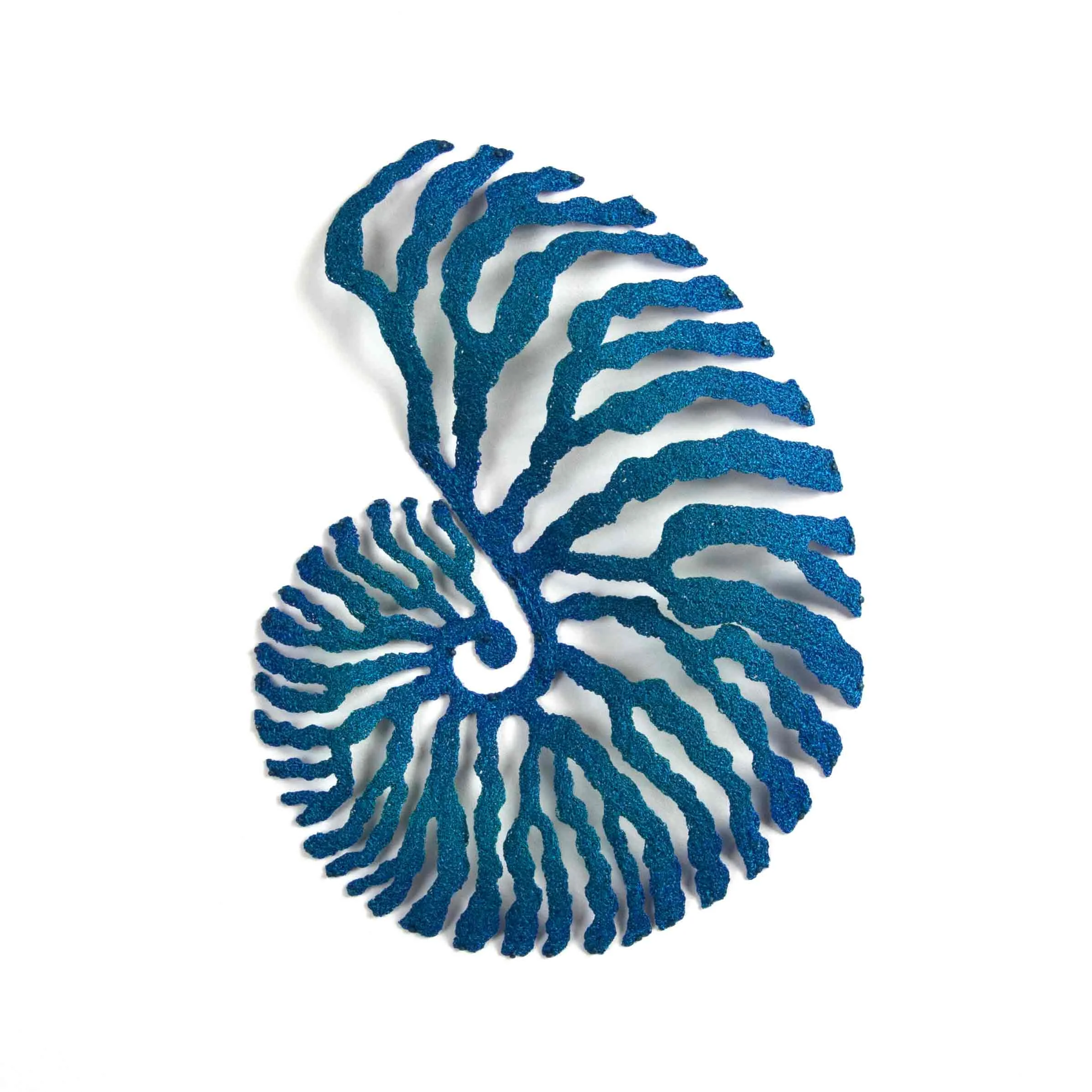 3-Aqua-nautilus-web.jpg