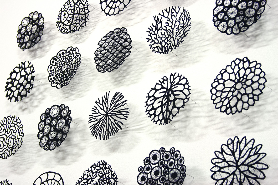 Typologies detail edited web.jpg