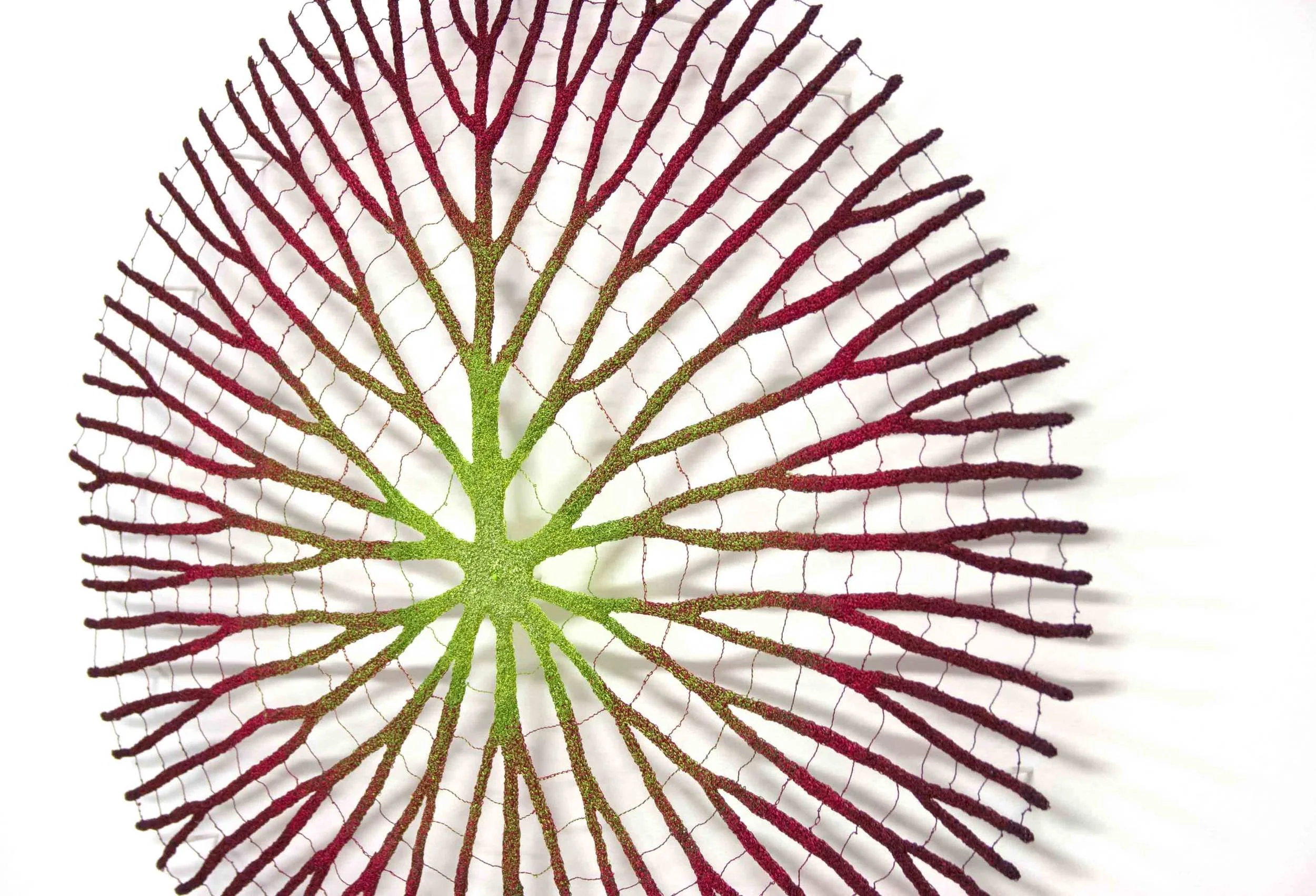 detail-edit-web.jpg