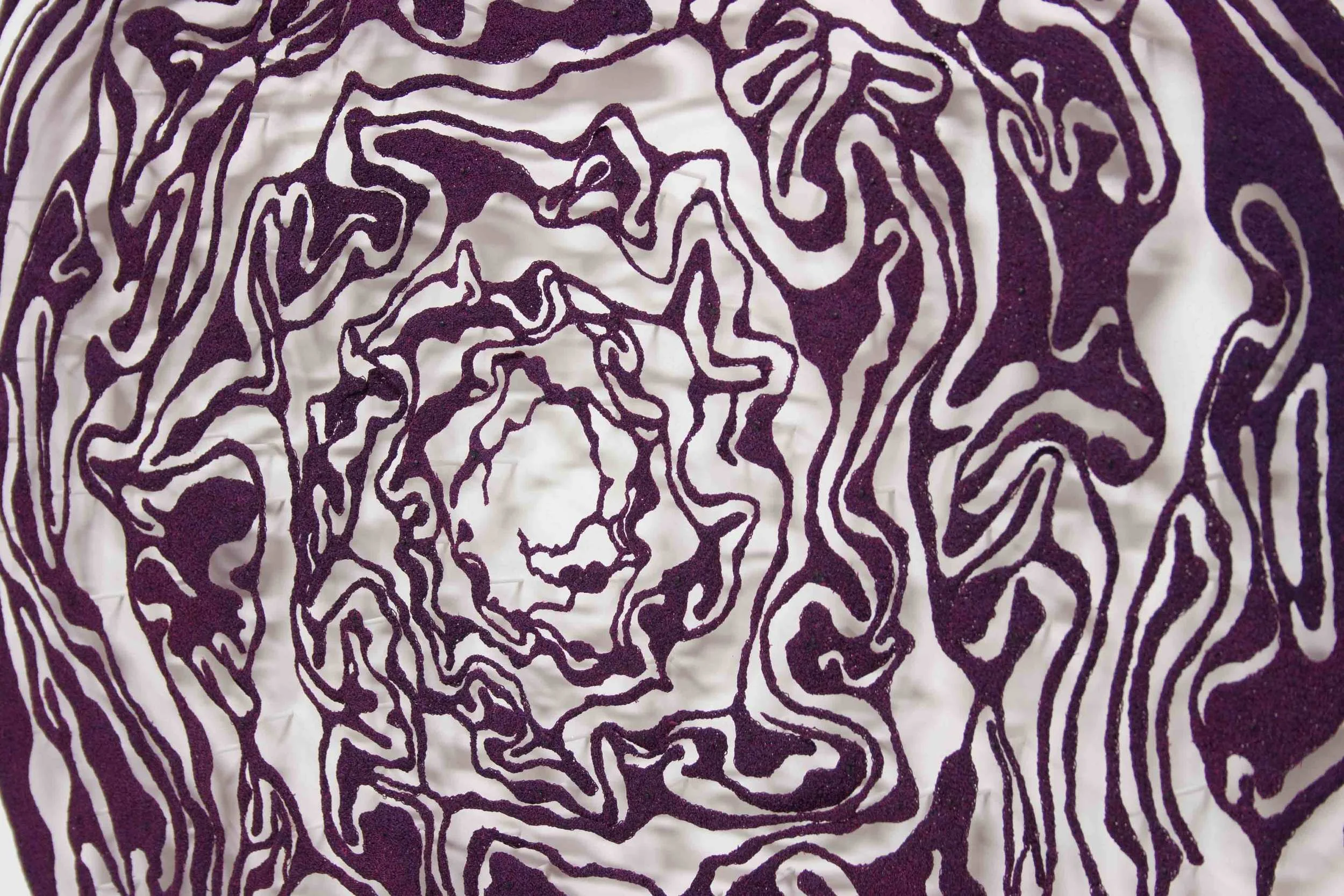 Red-Cabbage-detail-web.jpg