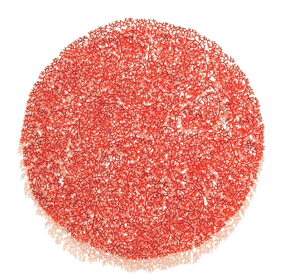 Cluster-coral-mandala-masked-1000_web.jpg