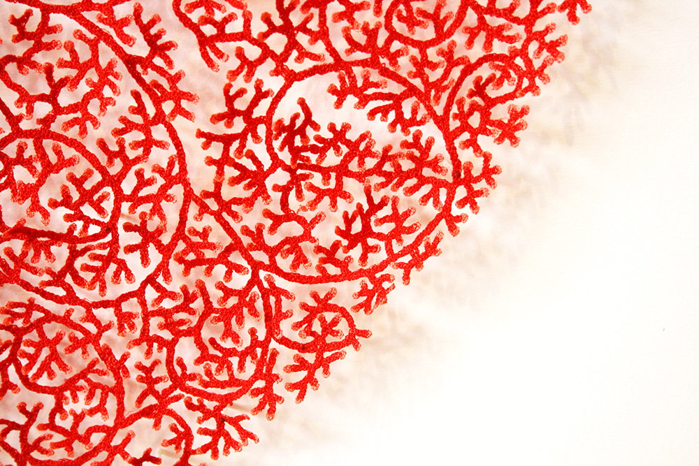 Cluster Coral mandala detail bright2.jpg