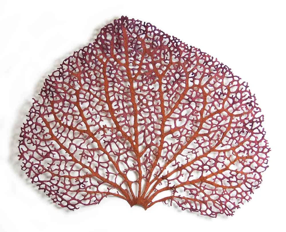 Hydrangea-petal-web.jpg