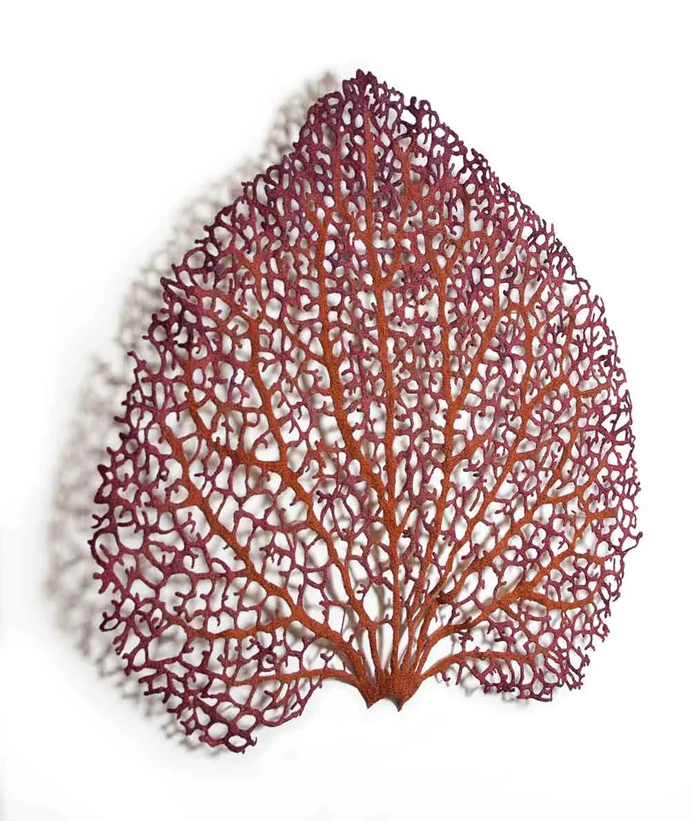 Hydrangea-petal-angle-web.jpg