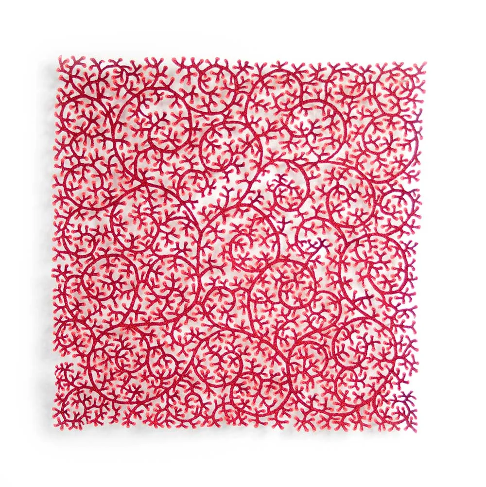 Coral-polyp-square-WEB.jpg