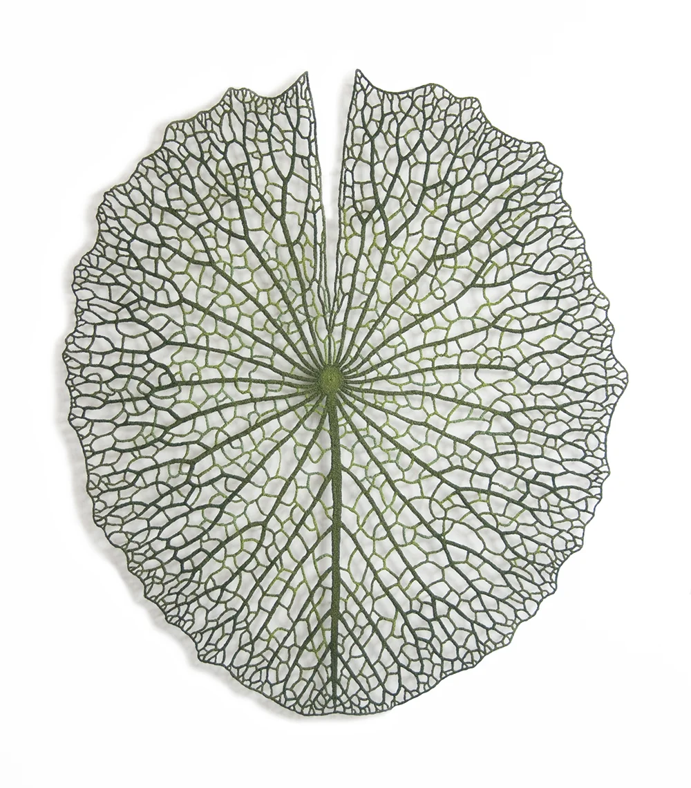 Lilypad web.jpg