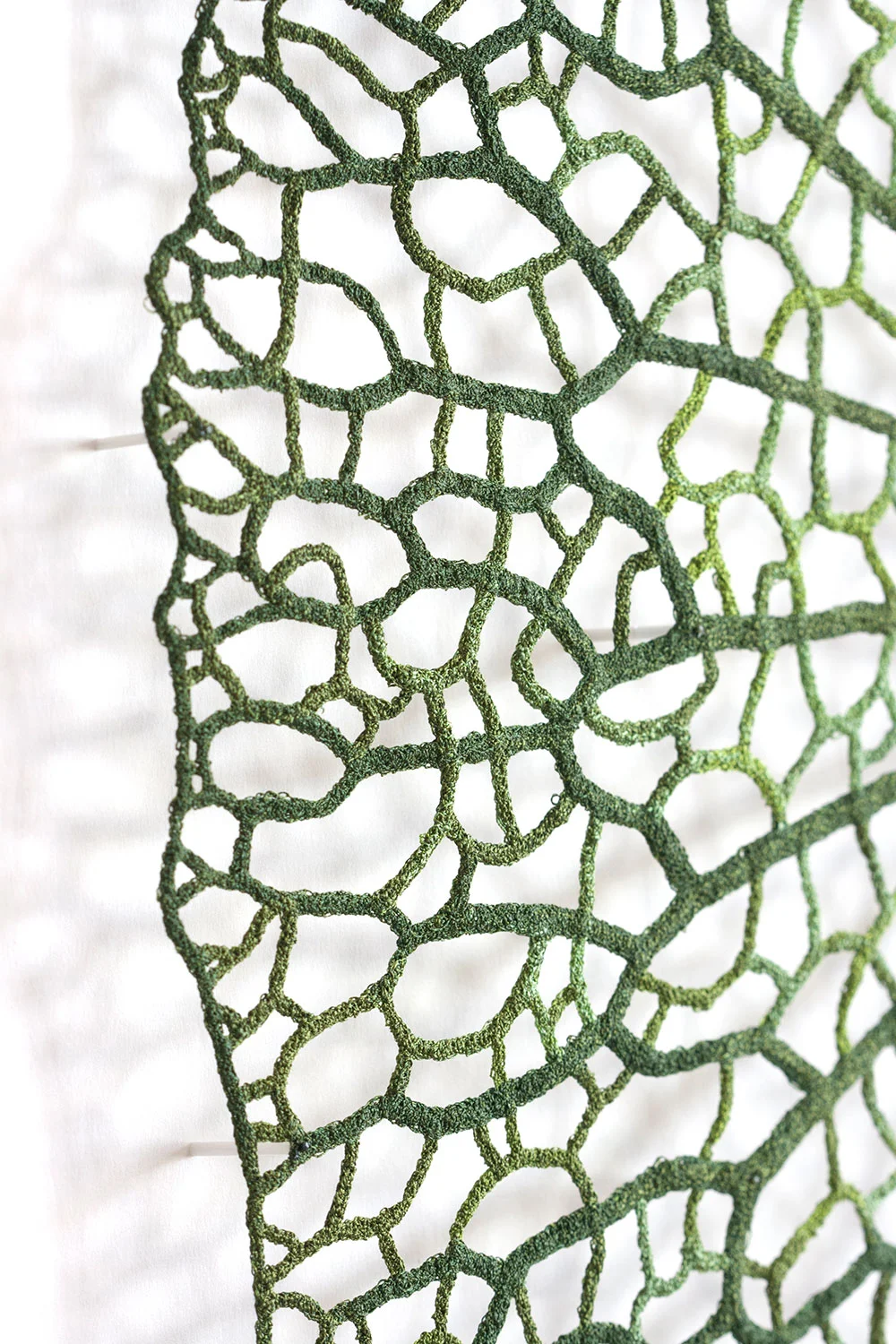 Lilypad-close-detail-web.jpg