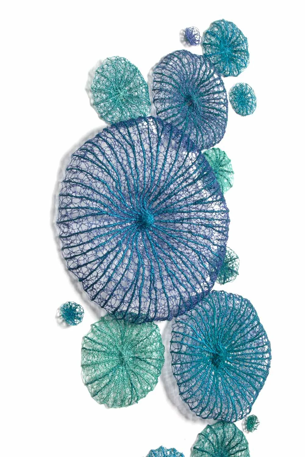 Blue-Discosoma-detail-web.jpg