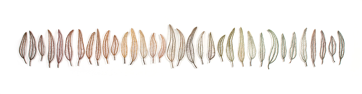 leaf-line-1-Meredith-Woolnough-web.jpg