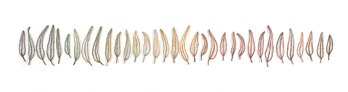 leaf-line-2-Meredith-Woolnough-web.jpg