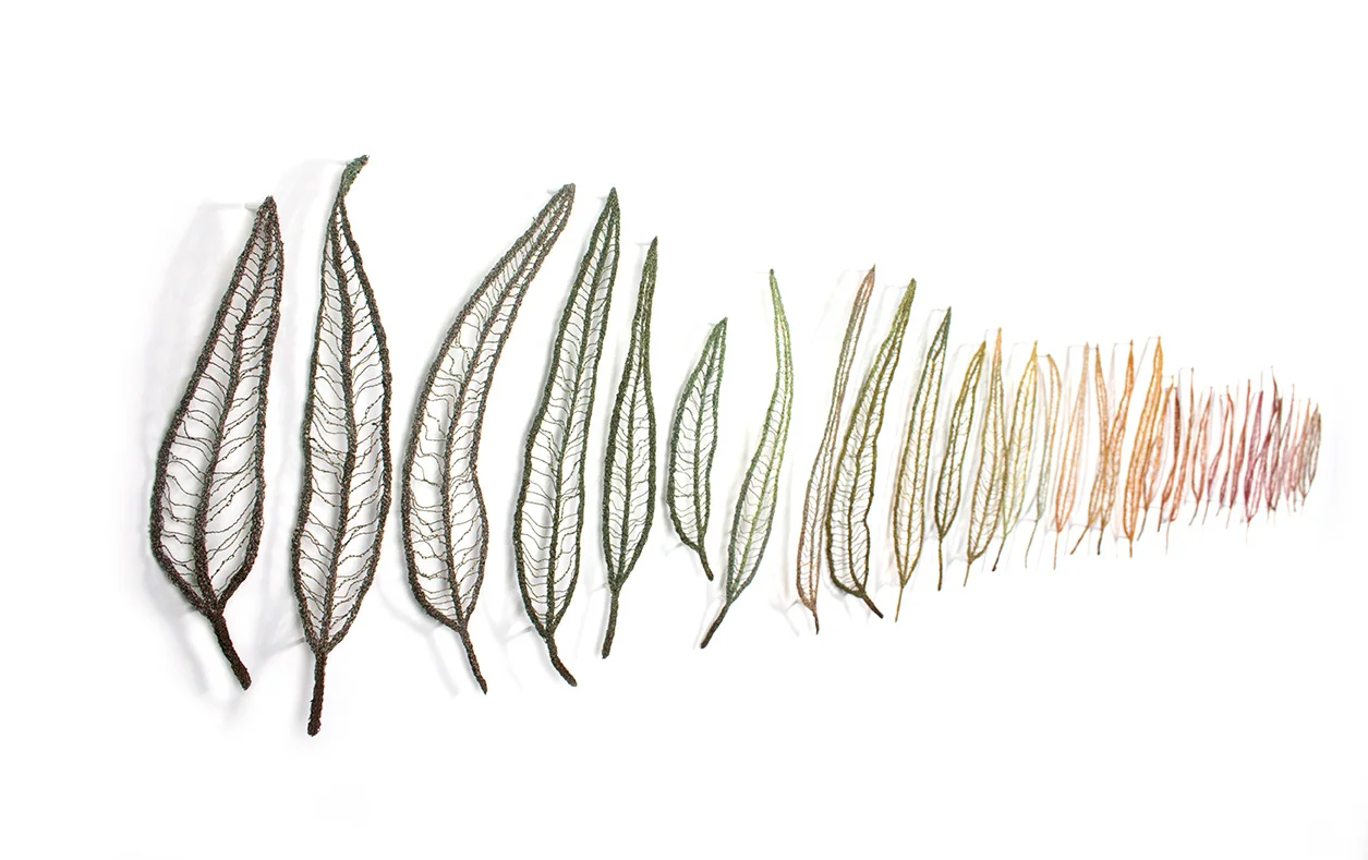 Leaf-line-2-angle-Meredith-Woolnough-web.jpg