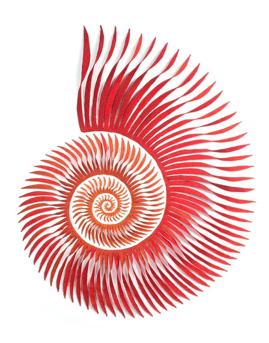 Spira-mirabilius-front-Meredith-Woolnough-web.jpg