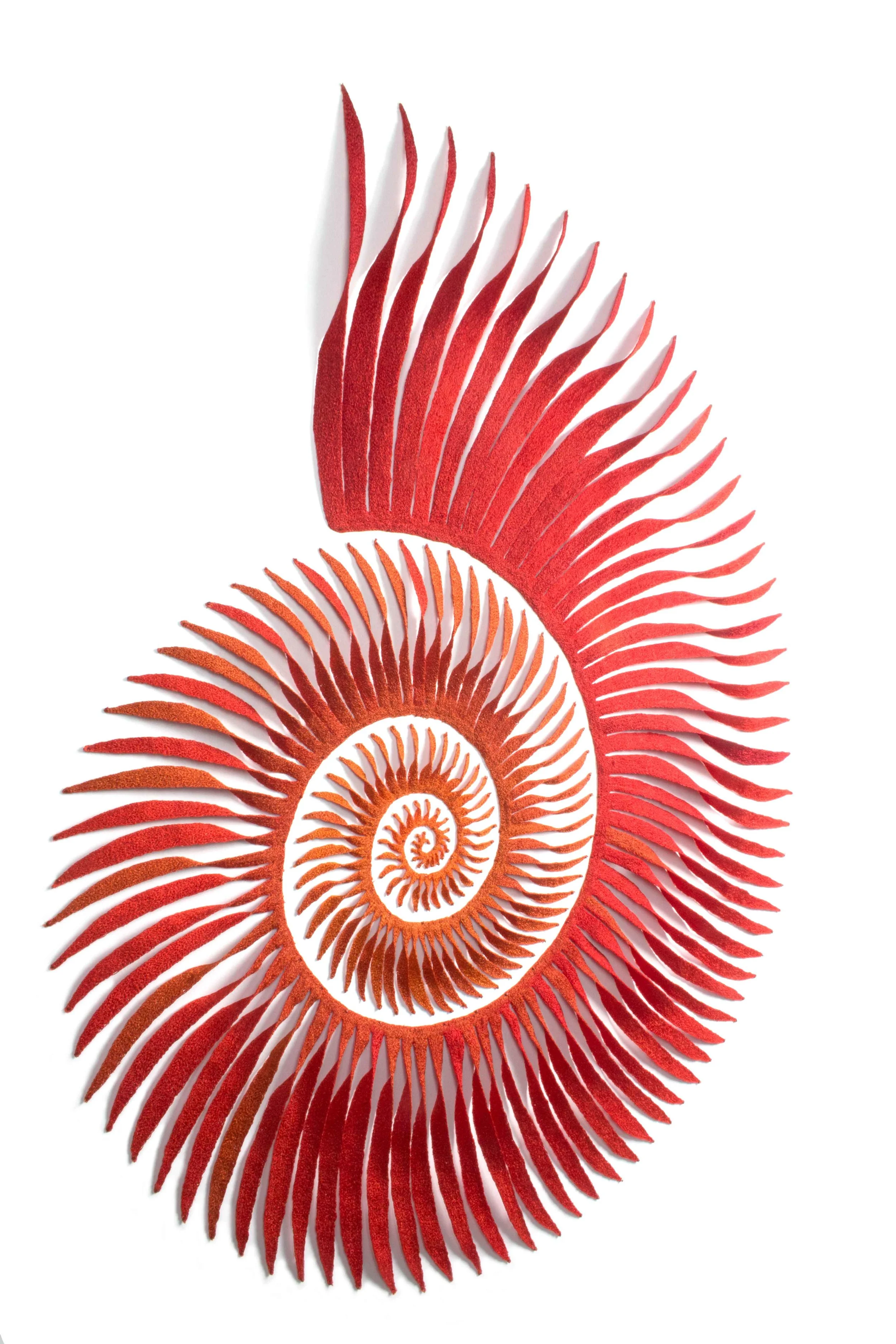 Spira-mirabilius-angle-Meredith-Woolnough-web.jpg