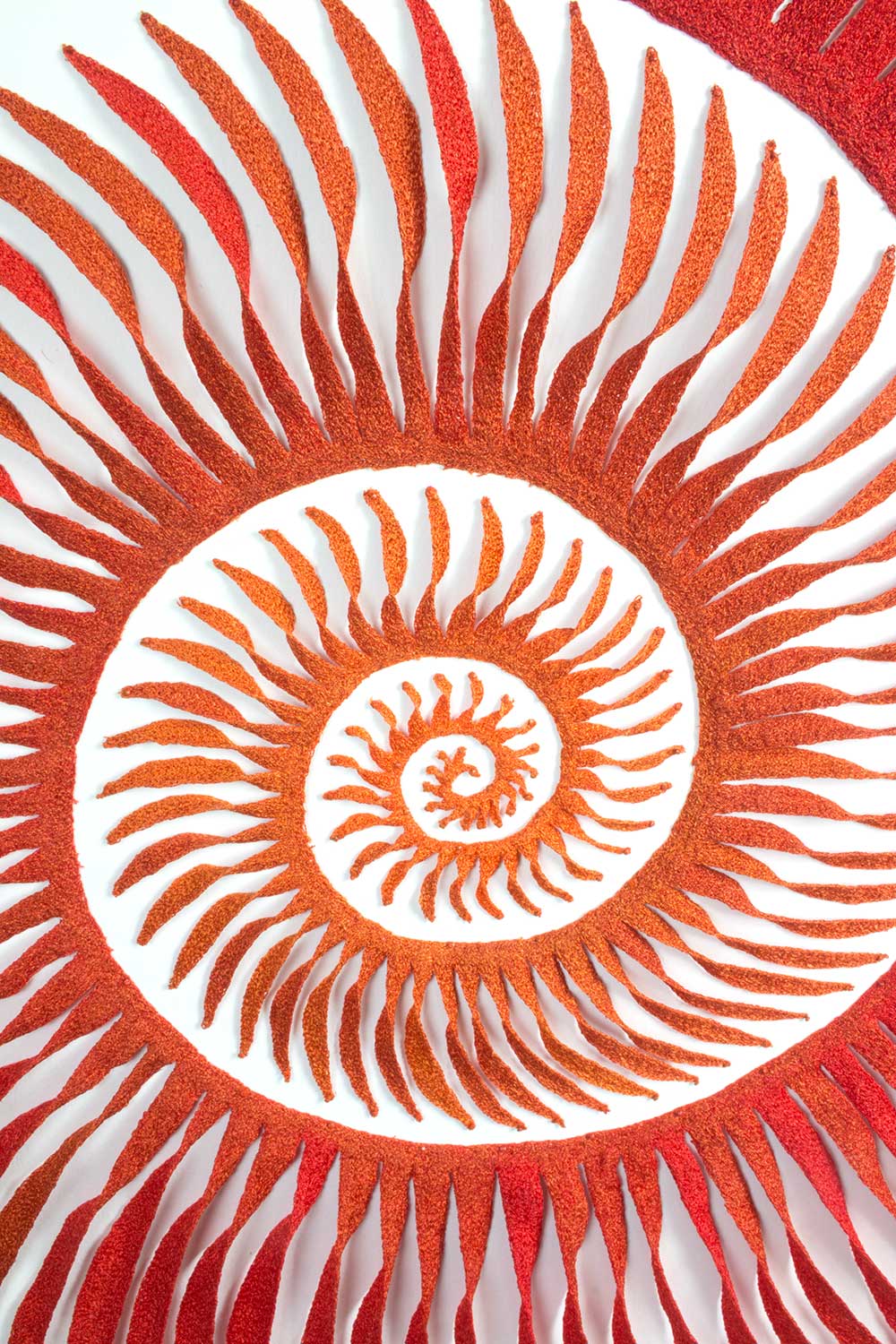 Spira-mirabilis-detail-(2016)-web.jpg