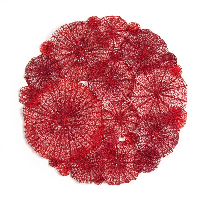 Mush-coral-web.jpg