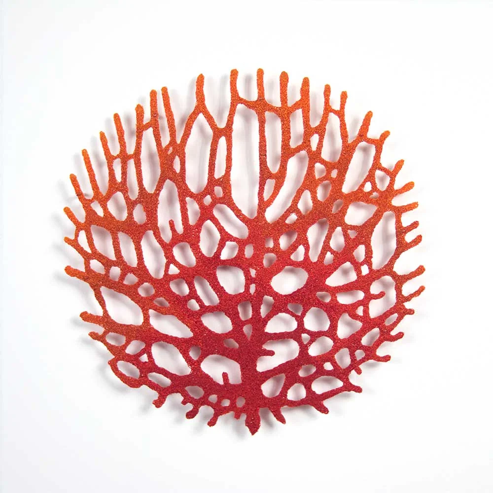 Coral-Fan-web.jpg