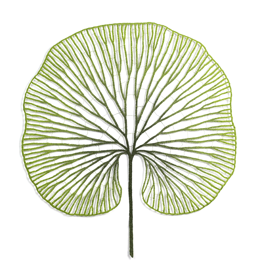 Kidney-Fern-web.gif